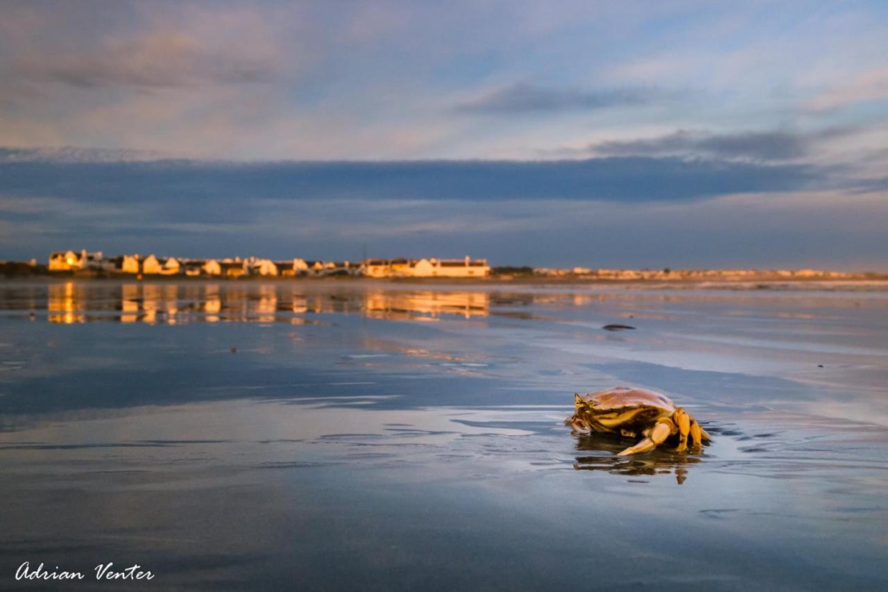 Flamink Beach View Cottage In Paternoster Exterior foto