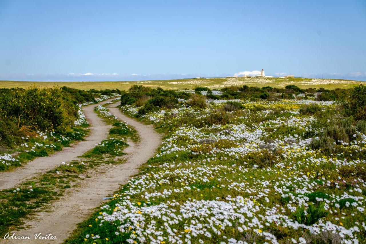 Flamink Beach View Cottage In Paternoster Exterior foto