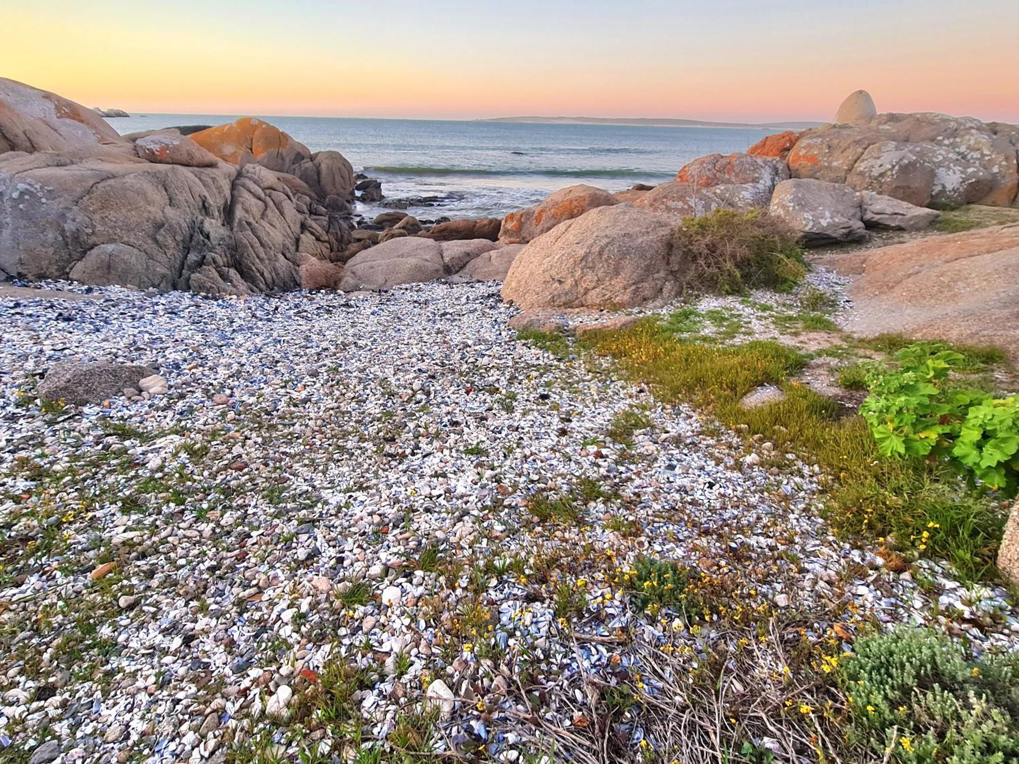 Flamink Beach View Cottage In Paternoster Exterior foto